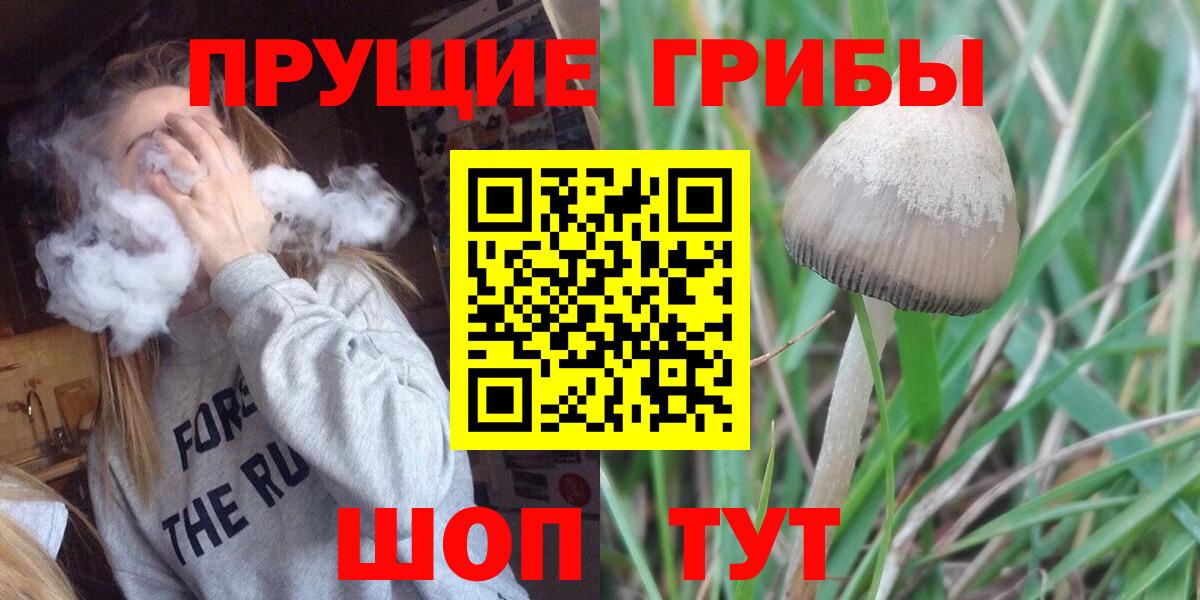 Псилоцибиновые грибы Psilocybe  наркотики  Асино  Вход с VPN  Галлюциногенные грибы ЛСД 