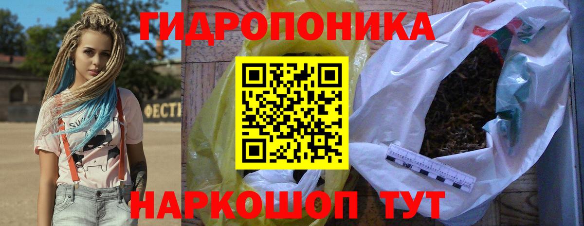 Конопля индика Асино